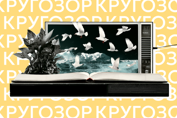 Новые «Голодные игры», «Одиссея» Нолана и овцы-детективы. Главные книжные экранизации 2026 года